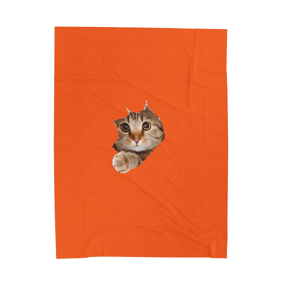 Blanket