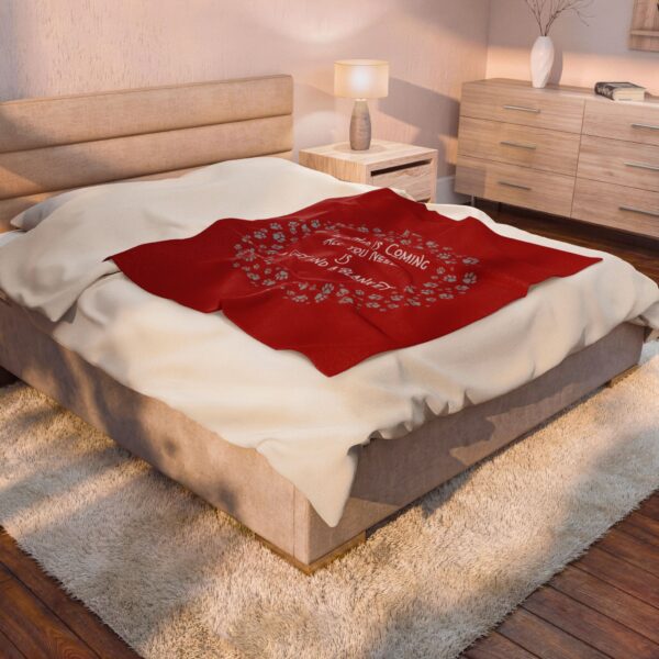 Velveteen Plush Blanket - Image 4