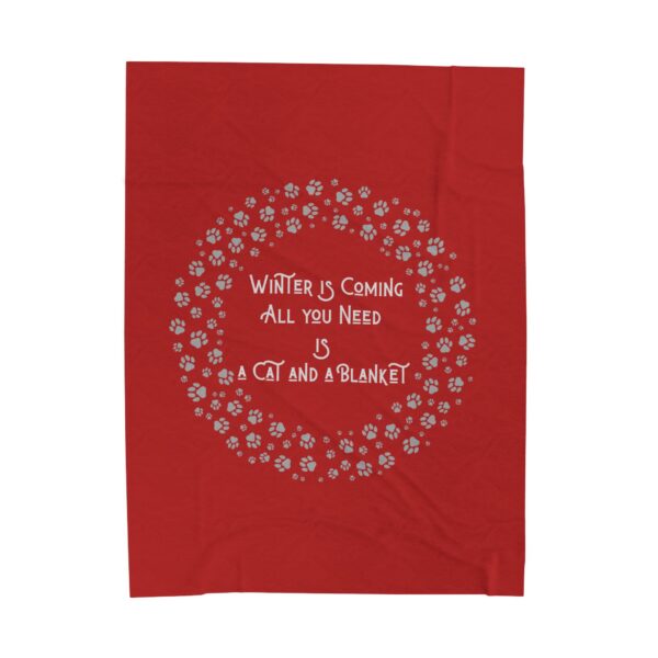 Velveteen Plush Blanket - Image 5