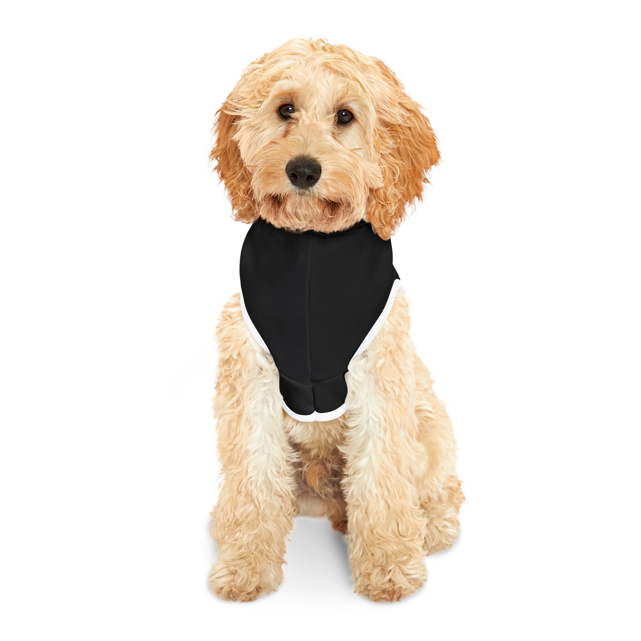 Sleepy Bear Club Pet Hoodie | Cozy Dog Cat Pullover - Image 3