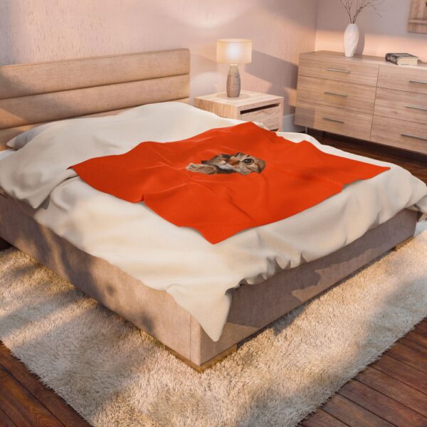 Curious Kitty Face Velveteen Plush Blanket | Cat Portrait Throw - Image 4