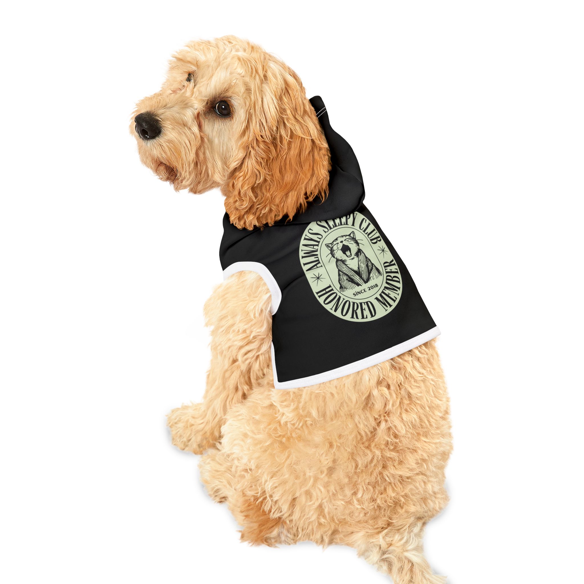 Sleepy Bear Club Pet Hoodie | Cozy Dog Cat Pullover - Image 4